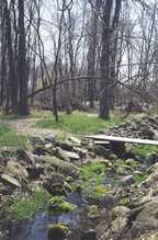 View in woods - forground is rock-lined stream with wooden plank over it, Background is trail leading into woods