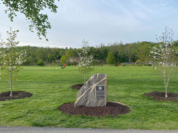 covid memorial grove