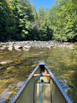 kayaks
