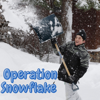 Operation Snowflake