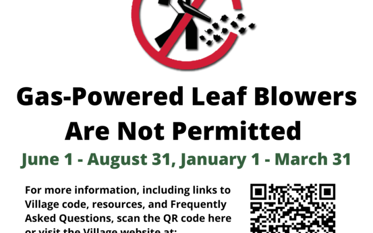 Gas Powered Leafblower Flyer