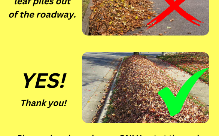 A reminder to avoid placing leaf piles in the roadway 