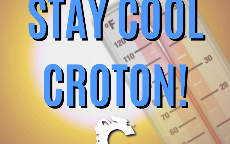 Stay Cool Croton